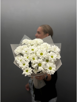 Букет из 7 кустовых хризантем