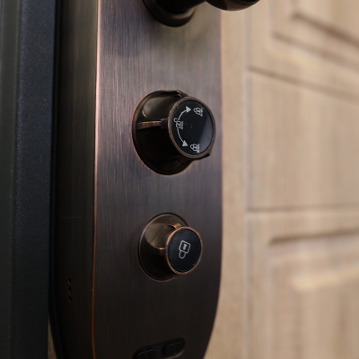 Стальная дверь   Фиджи. Заказная модель.