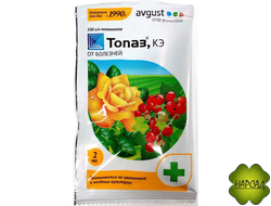 ТОПАЗ (ОТ БОЛЕЗНЕЙ)