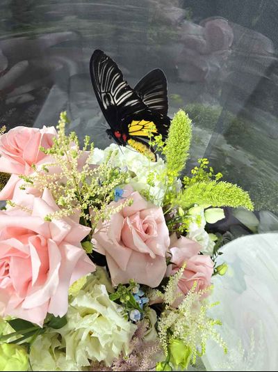 Большой букет в нежных тонах с пятью бабочками №137