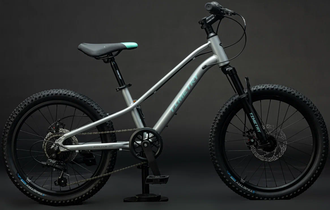 Велосипед TT277/ 7скоростей 20" Серебряный рама 10,5"