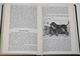 Сабанеев Л.П. Собаки охотничьи... Борзые и гончие. М.: Физкультура и спорт. 1987г.