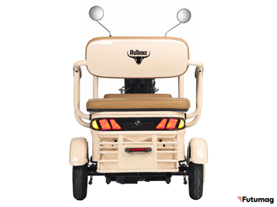 Электротрицикл Rutrike Gelbert Atlas 48V/60V 600Вт бежевый