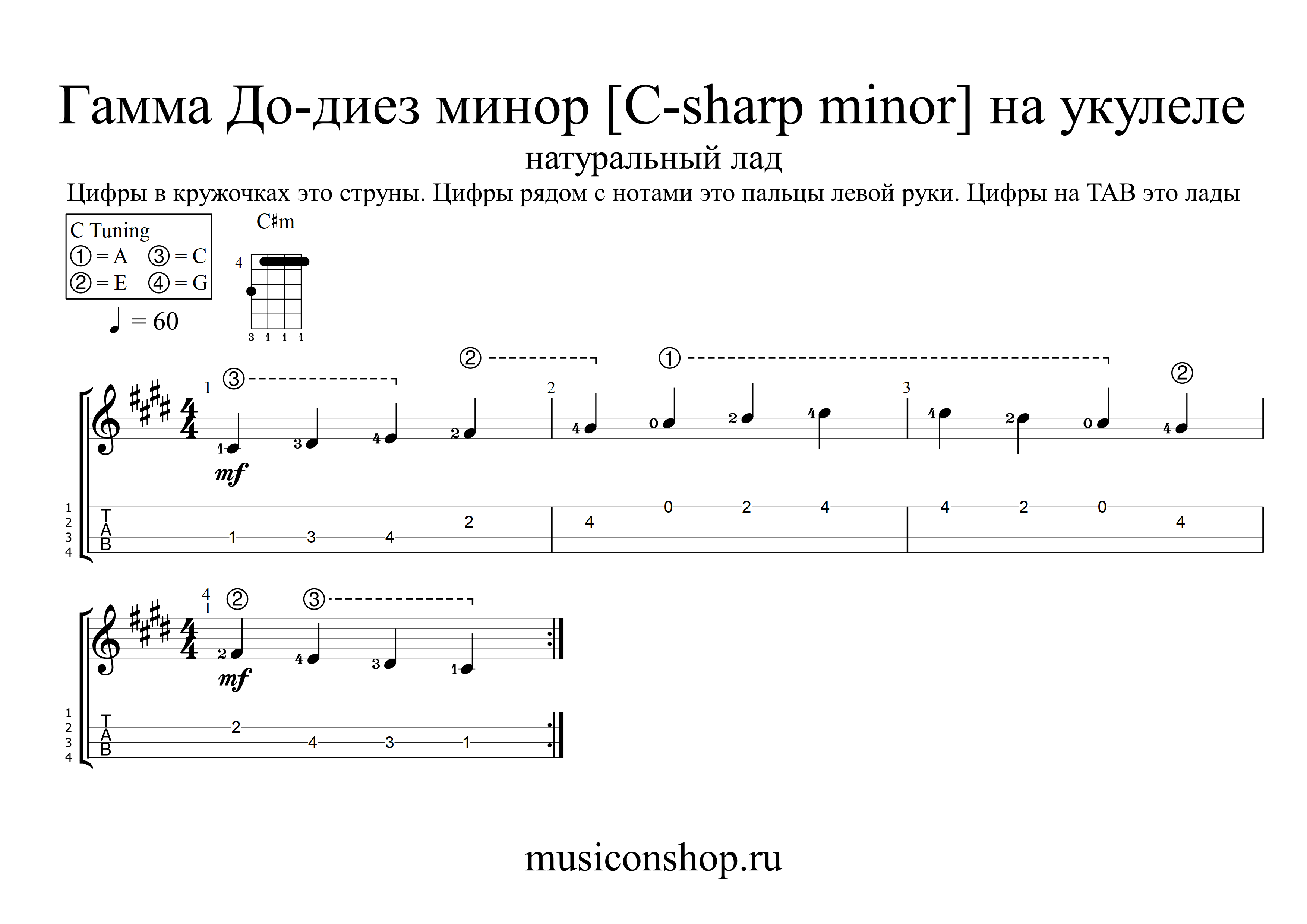 Гамма и лад