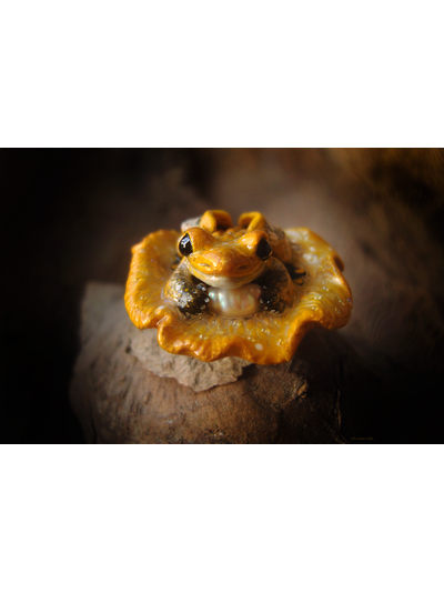 Брошь-лягушка &quot;Крылатая Лучезарница&quot;, коллекционная миниатюра