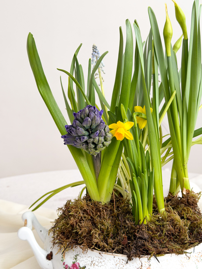 Супница с первоцветами #1