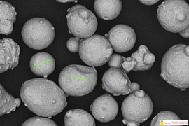 Растровая электронная микроскопия