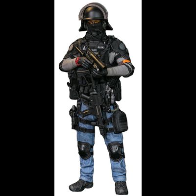 ФРАНЦУЗСКИЙ СПЕЦНАЗОВЕЦ GIPN - КОЛЛЕКЦИОННАЯ ФИГУРКА 1/6 SCALE FRENCH NATIONAL POLICE GIPN IN MARSEILLE (78076) - DAMTOYS