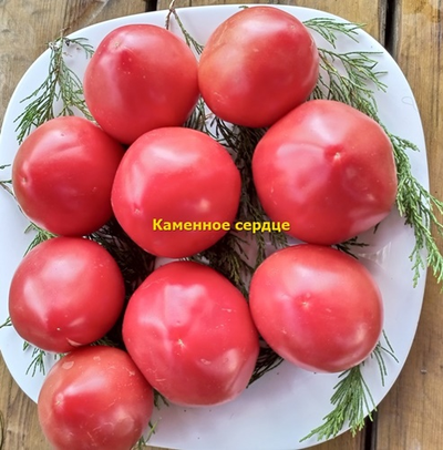 Томат Каменное сердце