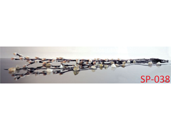 SP-038  ВЕРБА Глянцевая стеновая панель ALBICO  2800*610*6мм