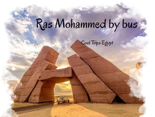 Ras Mohammed by bus for half day from Sharm El Sheikh