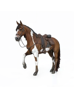 Животные, аквариумы, вольеры, клетки, будки