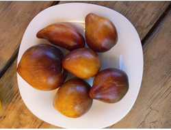 Томат Сладкая карамель Софии