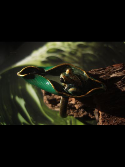 "После дождя", необычное кольцо с тропической лягушкой