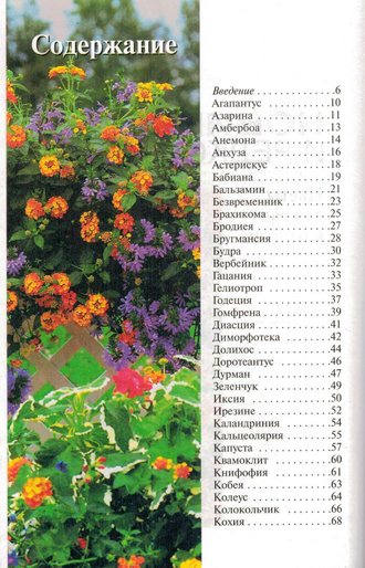 Новинки и редкости: Цветы для сада и балкона