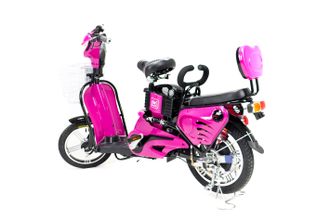 Электровелосипед Elbike Dacha