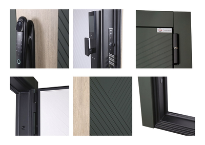 Стальная дверь   Vertu (биометрический замок)