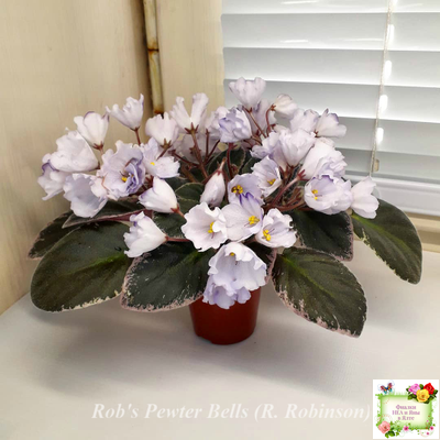 Rob's Pewter Bells (R. Robinson) 07/06/1992