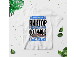 Футболка #1 Виктор