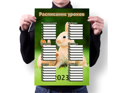 Расписание уроков год Кролика №15