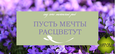 ПОДАРОЧНЫЙ СЕРТИФИКАТ НА 1000 РУБЛЕЙ