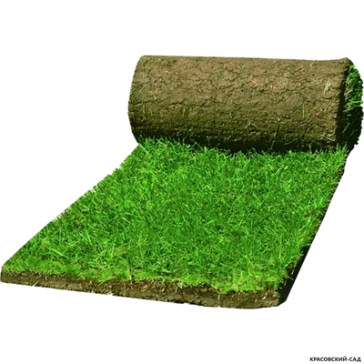 Рулонный газон Универсальный классический