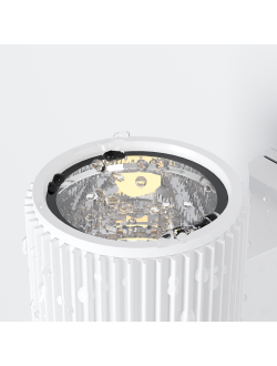 Настенный светильник (бра) Rando, O419WL-01W