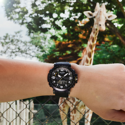 Часы Casio Pro Trek PRG-601YB-3