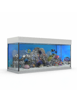 аквариумы Аквариум морской 2