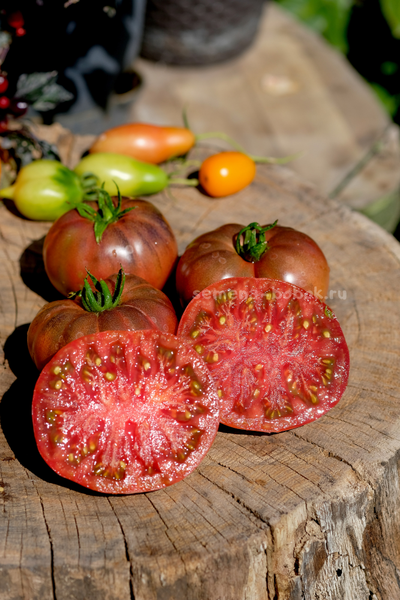Томат Муаровый Закат, 10 шт