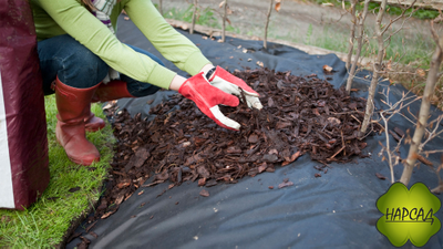 ГЕОТЕКСТИЛЬ черный (плотность 100г/кв.м, размер 3,2х1м). Цена за 1 погонный метр