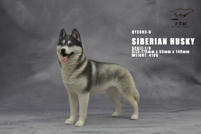 Сибирская хаски (серая) - Коллекционная ФИГУРКА 1/6 scale Husky (QYC003D) - QuanYingCun