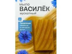 Живой шампунь василек 90 гр.