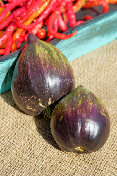 Томат Изумрудная Парча, 10 шт