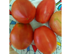 Томат Подсинское чудо