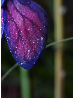 "Волшебство на кончиках крыльев", серьги с крылышками ягодной феи (шёлк, бисер)