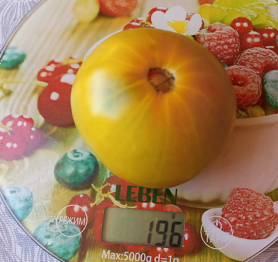 Томат Мшистый дуб (Mossy Oak)