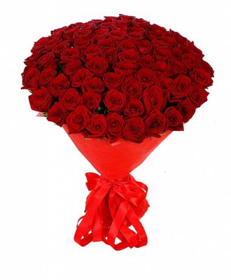 81 роза (70 см.)