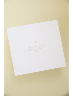 Комплект ёлочных игрушек "Чиполлино"