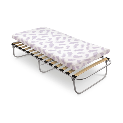 Кровать раскладная с ортопедическим основанием и мягким матрасом РК6-М, рисунок с графическими перьями