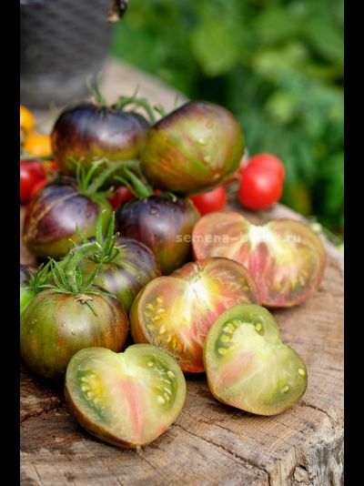 Томат Изумрудный Дождь, 10 шт