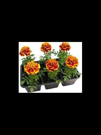 СУПЕР ХИРОУ СПРАЙ 6ШТ