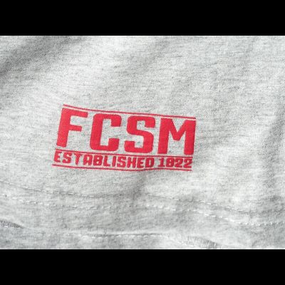 Футболка ФК СПАРТАК cерая (р.M) 110320