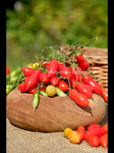 Томат Pelino 2014 (Пелино 2014), 7 шт