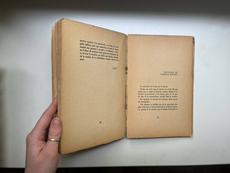 Gabriela Mistral. Por Alone
