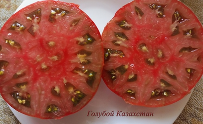 Томат Голубой Казахстан (Blaue Kasachstan)