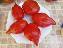 Томат Скифея (Скифская фея)