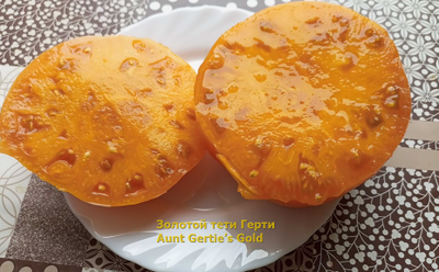 Томат Золотой тети Герти (Aunt Gertie’s Gold) США