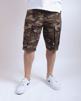 Шорты Anteater BCargoshorts Camo