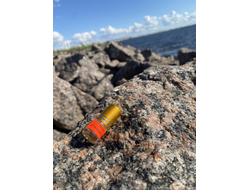 Масло НОТА: УСТА САХАРНЫЕ, 2.5 мл